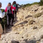 Marbella: Sierra de las Nieves National Park Hiking Day Trip - Starting from Marbella: Convenient Hotel Pickup and Guided Tour