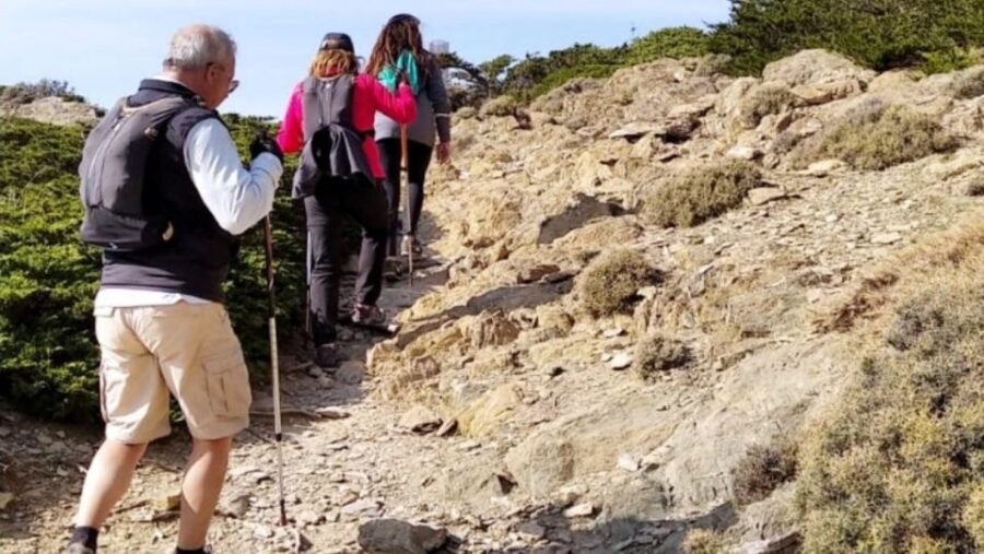 Marbella: Sierra de las Nieves National Park Hiking Day Trip - Starting from Marbella: Convenient Hotel Pickup and Guided Tour