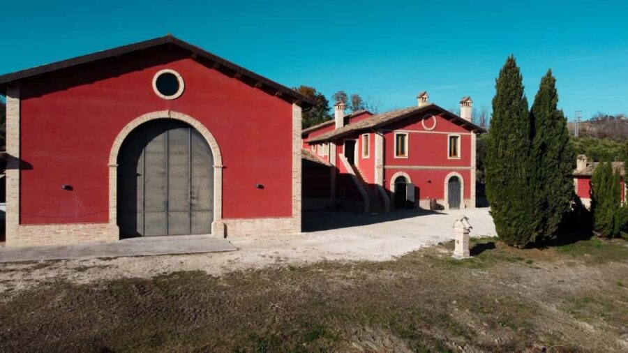 Marche: a unique visit and tasting at the D'Erasmo Winery among signature wines - The Guided Tasting of Signature Wines