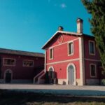 Marche: Tasting and Tour of Local Wines and Flavors at the D'Erasmo Winery - Inside the Winery: From Grape to Glass