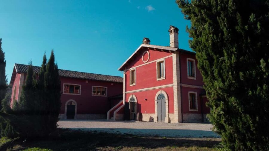 Marche: Tasting and Tour of Local Wines and Flavors at the D'Erasmo Winery - Inside the Winery: From Grape to Glass