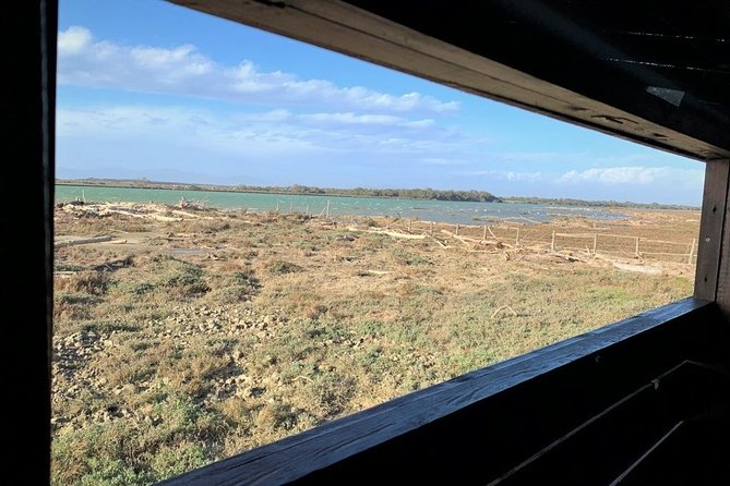 Maremma natural park e-bike tour - Starting Point and Departure Details in Alberese