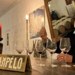 Margaux & Médoc: half day private tour in a classic car - From Bordeaux to Médoc’s Castle Route