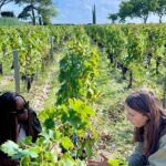Margaux & the Medoc private wine tour in a classic Citroën car - Bordeaux’s Médoc region in a vintage Citroën