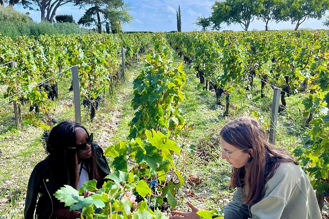 Margaux & the Medoc private wine tour in a classic Citroën car - Bordeaux’s Médoc region in a vintage Citroën