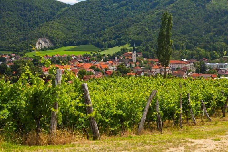 Maribor & Styria Tour with Wine Tasting - Starting Point and Transportation in Ljubljana