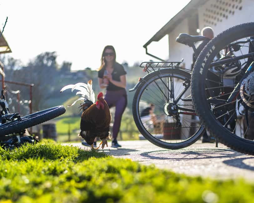 Marija Bistrica: E - bike ride to Gornja Stubica - From the Hotel Kaj to Gusakovec: Starting the Scenic Ride