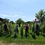 Marija Bistrica: E-bike riding on country roads - Practical Details and Recommendations