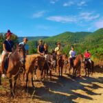 Marmaris: Horse Riding Experience with Hotel Transfers - Meeting Your Equine Companions
