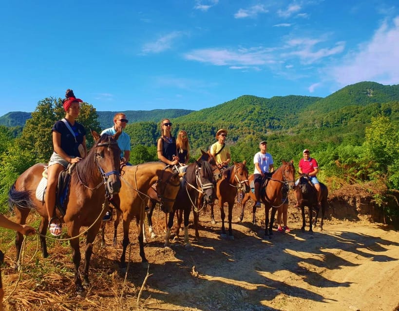 Marmaris: Horse Riding Experience with Hotel Transfers - Meeting Your Equine Companions