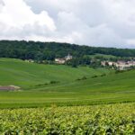 Marne: 2-Day Champagne Tour with Tastings and Lunches - Visiting the Côteaux Sud and Reims Hill Wineries