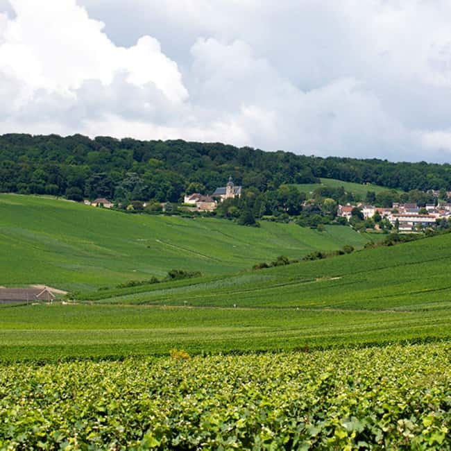 Marne: 2-Day Champagne Tour with Tastings and Lunches - Visiting the Côteaux Sud and Reims Hill Wineries