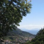 Maroços Mimosa Valley Levada Walk from Funchal - The Route Along Estrada dos Maroços