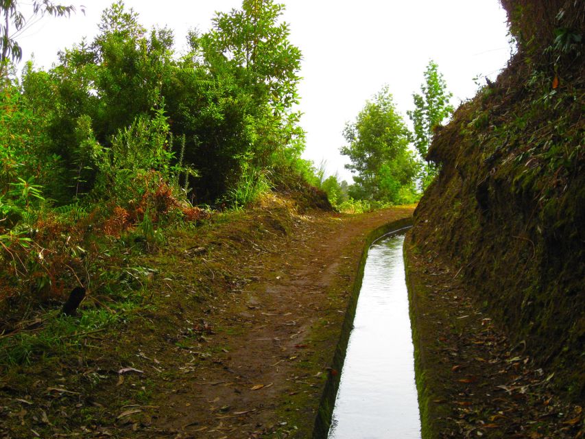 Maroços / Mimosa Valley - Levada Walk - The Route Through Machico’s Agricultural Heartland