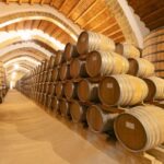 Marsala: Florio Winery Tour with Food-Paired Wine Tastings - Starting Point and Ending Location at Florio Winery