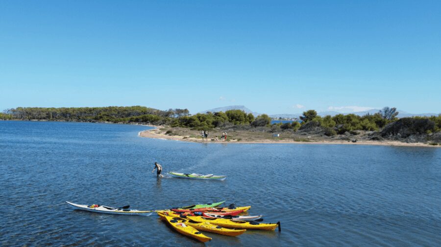 Marsala: Kayak Tour in Stagnone di Marsala Nature Reserve - Visiting Santa Maria Island’s Golden Beaches