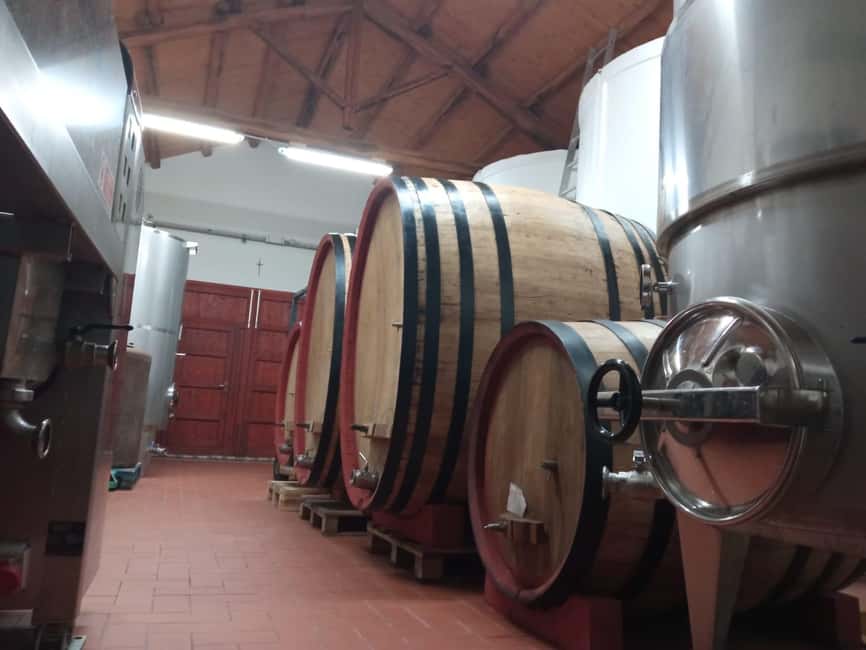 Marsala: Visit a Winery and Taste Artisanal Wines - The Tours Focus on Artisanal, Natural Wines
