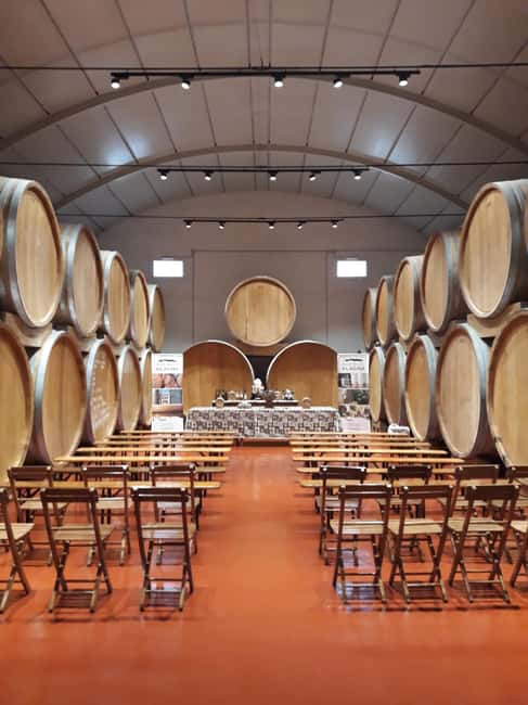 Marsala: Winery visit and wine tasting with local samples - Discover the Family-Run Winery in Marsala