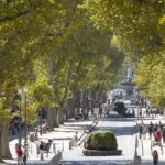 Marseille/Cassis/Aix en Pce : highlights tour - What to Expect from the 8-Hour Itinerary