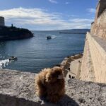 Marseille: Private Customised Walking 2-Hour Tour - Exploring the Marseille Cathedral and Its Neo-Byzantine Architecture