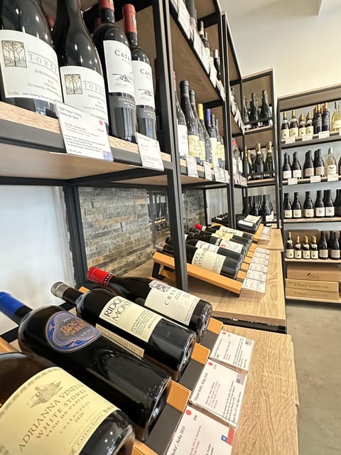 Marseille: Tailored Wine Tasting Experience in Top Wine Shop - The Guided Tasting: 8-10 Premium Wines and Local Cheese Pairings