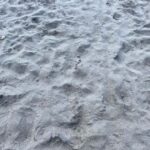 Martinique: Private Tour with Local Guide - Visiting the Savane des Esclaves: A Deep Dive into Martinique’s Past