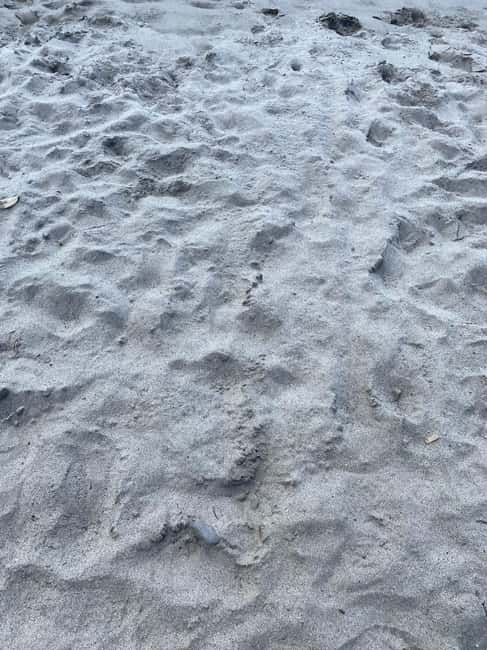 Martinique: Private Tour with Local Guide - Visiting the Savane des Esclaves: A Deep Dive into Martinique’s Past