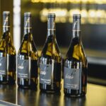 Mason: Visit and Tasting of the Estate's Wines - Exploring Domaine Nadine Ferrand in Bourgogne