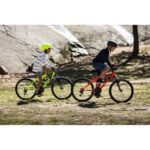 Maspalomas: Rent 4 or 8 hours untill 7-Day Mountain Bike - Starting Point at the Cita Shopping Center in Playa del Ingles