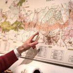 Masterclass Chardonnay - Wine tasting in Dijon - An Expert-Led Introduction to Burgundy’s Climats and Terroirs