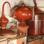 MASTERCLASS COGNAC - The Location and Setting at Domaine Raymond Bossis