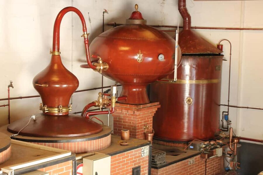 MASTERCLASS COGNAC - The Location and Setting at Domaine Raymond Bossis