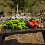 Mavrovo, Galicnik and Jovan Bigorski Monastery from Skopje - Exploring the Historic St. Nicholas Church