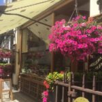 Mayfair and Belgravia Private Walking Tour - The Beaumont Mayfair and Brown Hart Gardens