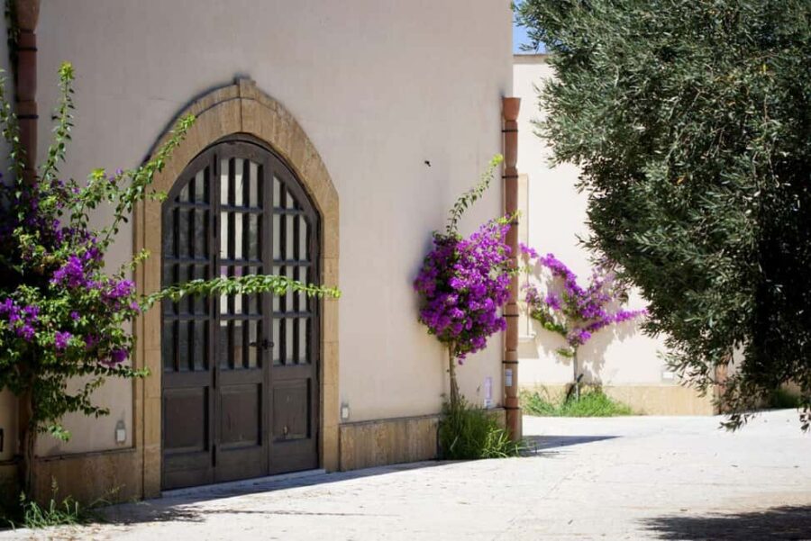 Mazara: Winery tour among the vineyards with tasting - Visiting a Traditional Sicilian "Baglio" Turned Winery