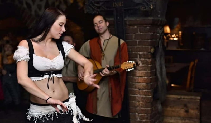 Medieval Show & Dinner, Castle & Brewery tour, Hotel pickup - Exploring Dtenice Castle’s 13th-Century Charm