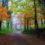 Medieval Villages & La Garrotxa Volcanic Zone Hiking. Small Group Tour - Post-Hike Lunch at a Traditional Local Restaurant
