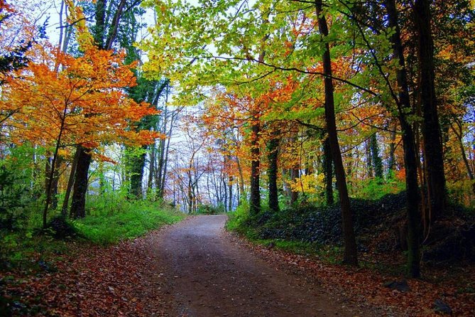 Medieval Villages & La Garrotxa Volcanic Zone Hiking. Small Group Tour - Post-Hike Lunch at a Traditional Local Restaurant