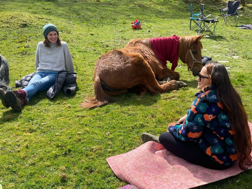 Meditate With Horses - Starting at Holmeshead Farm in Ambleside