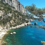 Mediterranean Dream : Cassis, Calanques Boat Ride & Appetizer - Starting Point and Tour Duration in Aix-en-Provence