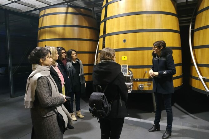 Medoc Region Wine Day Trip with Vineyard Visits & Tastings from Bordeaux - Guide Expertise and Personalization on the Tour