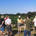 Médoc wine tour from Bordeaux: 2 wineries & 6 wines - Meeting Point and Departure Details in Bordeaux
