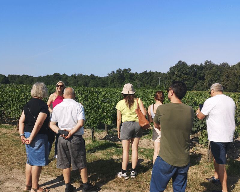 Médoc wine tour from Bordeaux: 2 wineries & 6 wines - Meeting Point and Departure Details in Bordeaux
