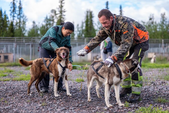 Meet 70 Huskies and Enjoy a short ATV Tour with the Huskies - Meeting and Participation Details