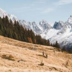 Megève: Beautiful Panoramas of Mont-Blanc E-bike Tour - Logistics and Group Experience