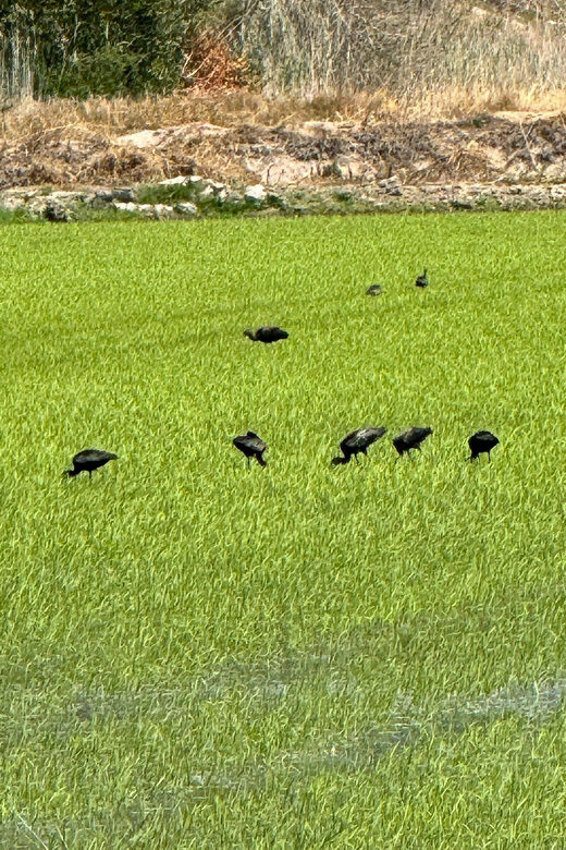 Melides: Moto 4 | Rice fields & Coastal Tour - Starting Point at Lagoa de Santo André and Safety Briefing