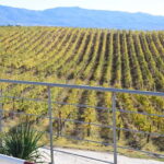 Melnik Wine Tour - Tasting Bulgaria’s Best Wines at Villa Melnik