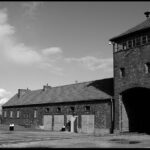 Memorial and Museum Auschwitz-Birkenau Tour & Krakow Transfer - Birkenau (Auschwitz II): The Largest Camp