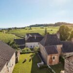 Mercurey: Château de Chamirey and a tasting - Guided Wine Tasting of Five Iconic Vintages