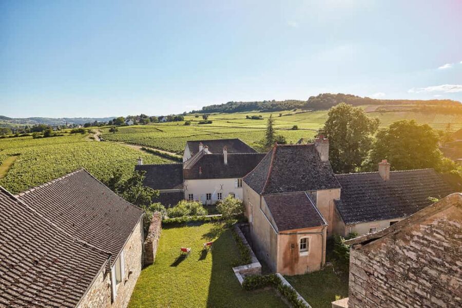 Mercurey: Château de Chamirey and a tasting - Guided Wine Tasting of Five Iconic Vintages
